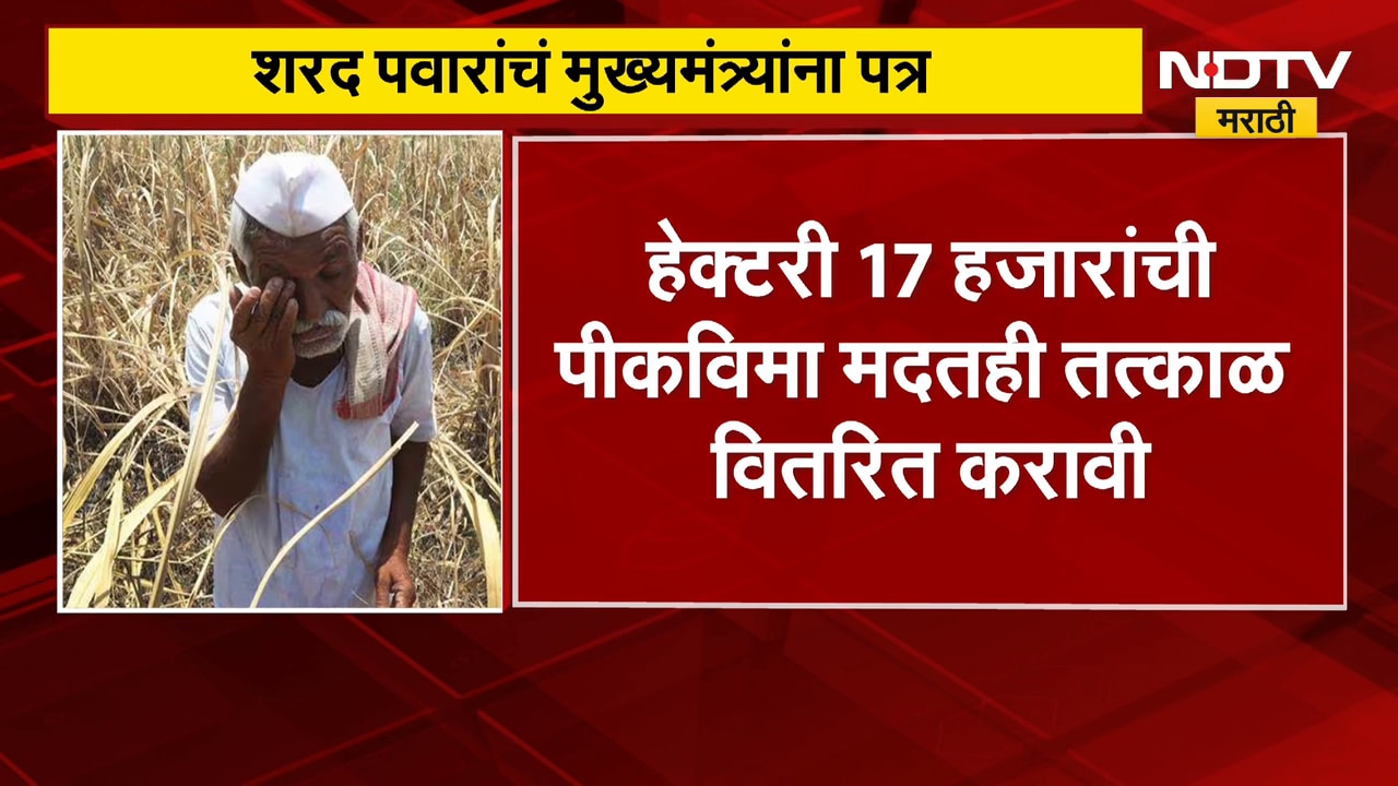 बळीराजाला मदतीसाठी Sharad Pawar यांचा पत्रप्रपंच, हेक्टरी 50 हजार रुपये मदत देण्याची मागणी