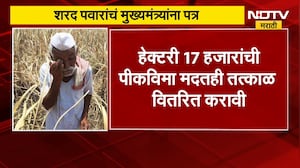 बळीराजाला मदतीसाठी Sharad Pawar यांचा पत्रप्रपंच, हेक्टरी 50 हजार रुपये मदत देण्याची मागणी