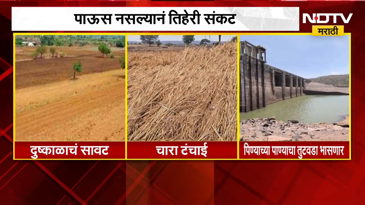 Maharashtra Drought | पाऊस नसल्याने तिहेरी संकट, शेतकऱ्यांनी जगावं कसं? सरकार लक्ष देणार का?