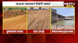 Maharashtra Drought | पाऊस नसल्याने तिहेरी संकट, शेतकऱ्यांनी जगावं कसं? सरकार लक्ष देणार का?