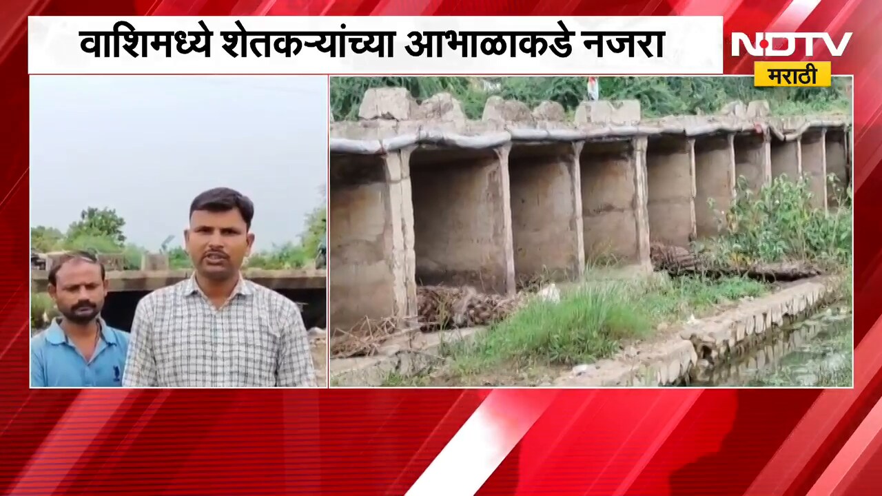 Washim मध्ये पावसाची दडी,पाऊस नसल्यानं शेतकरी संकटात | NDTV Marathi