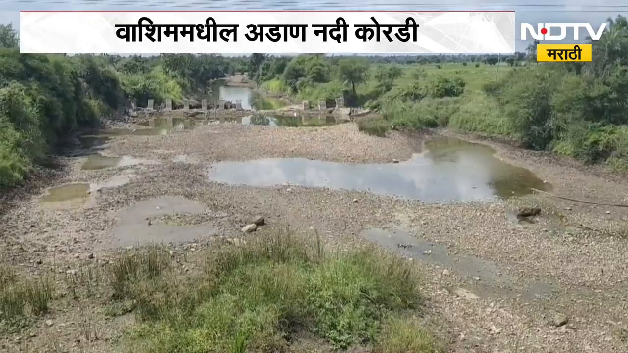 Washim Adan River | पावसाळ्यात अडाण नदी कोरडी, पाऊस नसल्याने शेतकरी कमालीचे चिंतेत | NDTV Marathi