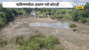 Washim Adan River | पावसाळ्यात अडाण नदी कोरडी, पाऊस नसल्याने शेतकरी कमालीचे चिंतेत | NDTV Marathi