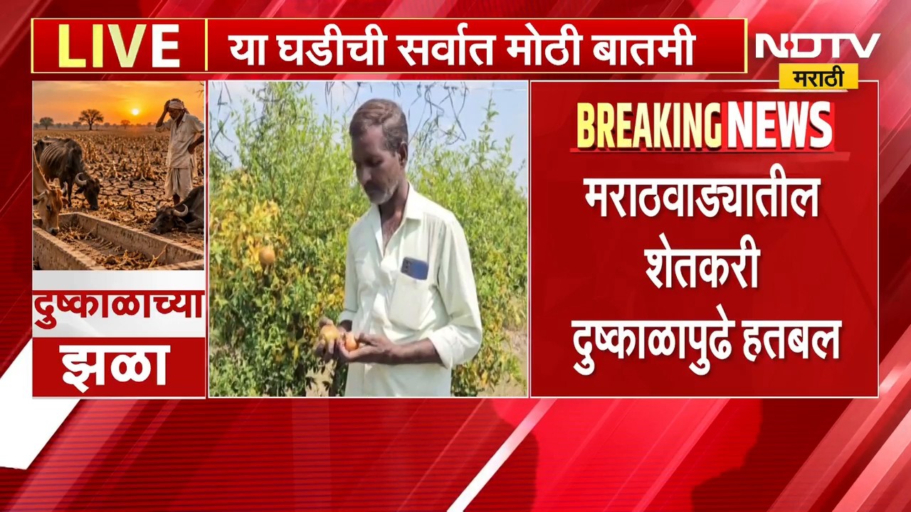 Marathwada Drought | मराठवाड्यात दुष्काळाची भीषणता गडद, डाळिंबाची बाग वाचवण्यासाठी शेतकऱ्याची धडपड