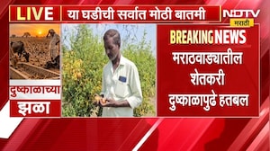 Marathwada Drought | मराठवाड्यात दुष्काळाची भीषणता गडद, डाळिंबाची बाग वाचवण्यासाठी शेतकऱ्याची धडपड