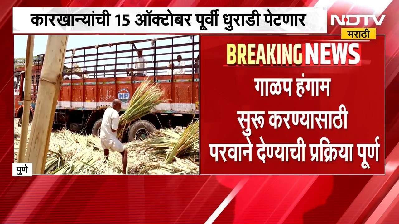Crushing season गाळप हंगाम सुरु करण्यासाठी परवाने देण्याची प्रक्रिया पूर्ण, 210 कारखान्यांना परवाने