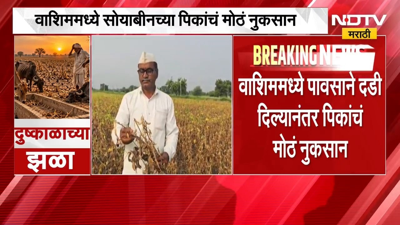 Washim | पंचनाम्यापूर्वी पीक काढलं, शेतकरी मदतीपासून वंचित राहणार? | NDTV Marathi