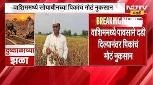 Washim | पंचनाम्यापूर्वी पीक काढलं, शेतकरी मदतीपासून वंचित राहणार? | NDTV Marathi