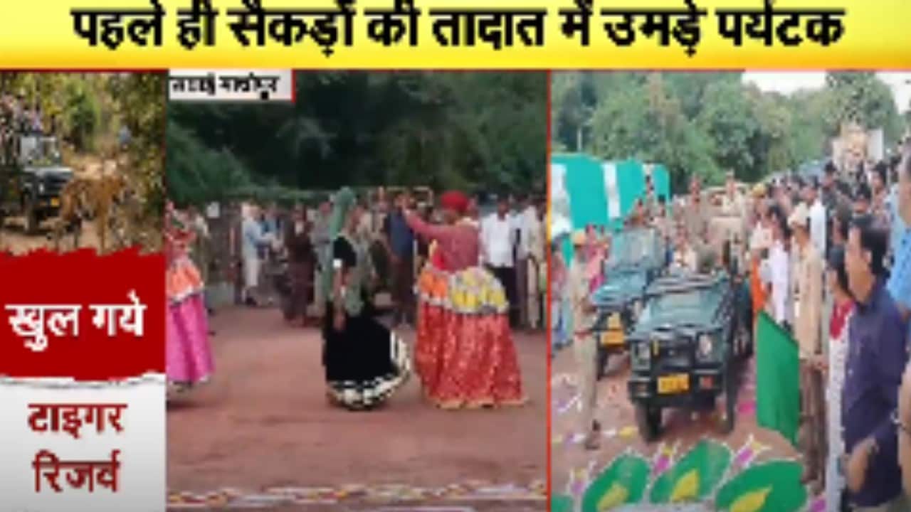 Ranthambore: 3 महीने बाद रणथंभौर के खुले द्वार, पर्यटकों का स्वागत । Top News । Breaking News