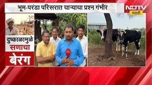 Dharashiv Drought | दुष्काळाच्या पशुधनाला झळा, भूम-परंडा परिसरात चाऱ्याच प्रश्न गंभीर | NDTV
