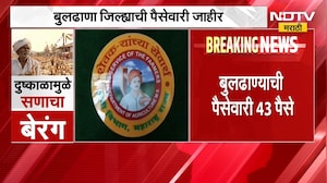 Buldhana जिल्ह्यात 1420 गावांची नजर अंदाज पैसेवारी जाहीर, प्रत्येक गावाची पैसेवारी 50% पेक्षा कमी