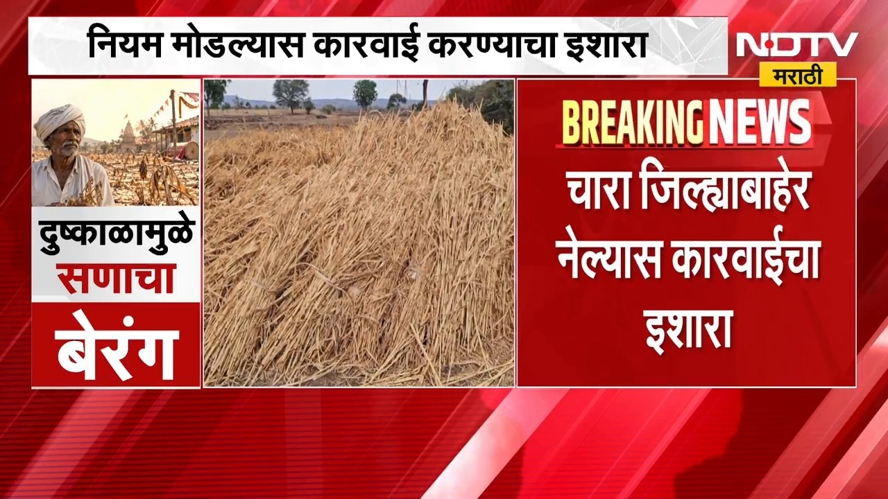 Buldhana | दुष्काळ जाहीर झाल्यानंतर चारा जिल्ह्याबाहेर नेण्यास बंदी, नियम तोडल्यास कारवाई होणार