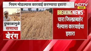 Buldhana | दुष्काळ जाहीर झाल्यानंतर चारा जिल्ह्याबाहेर नेण्यास बंदी, नियम तोडल्यास कारवाई होणार