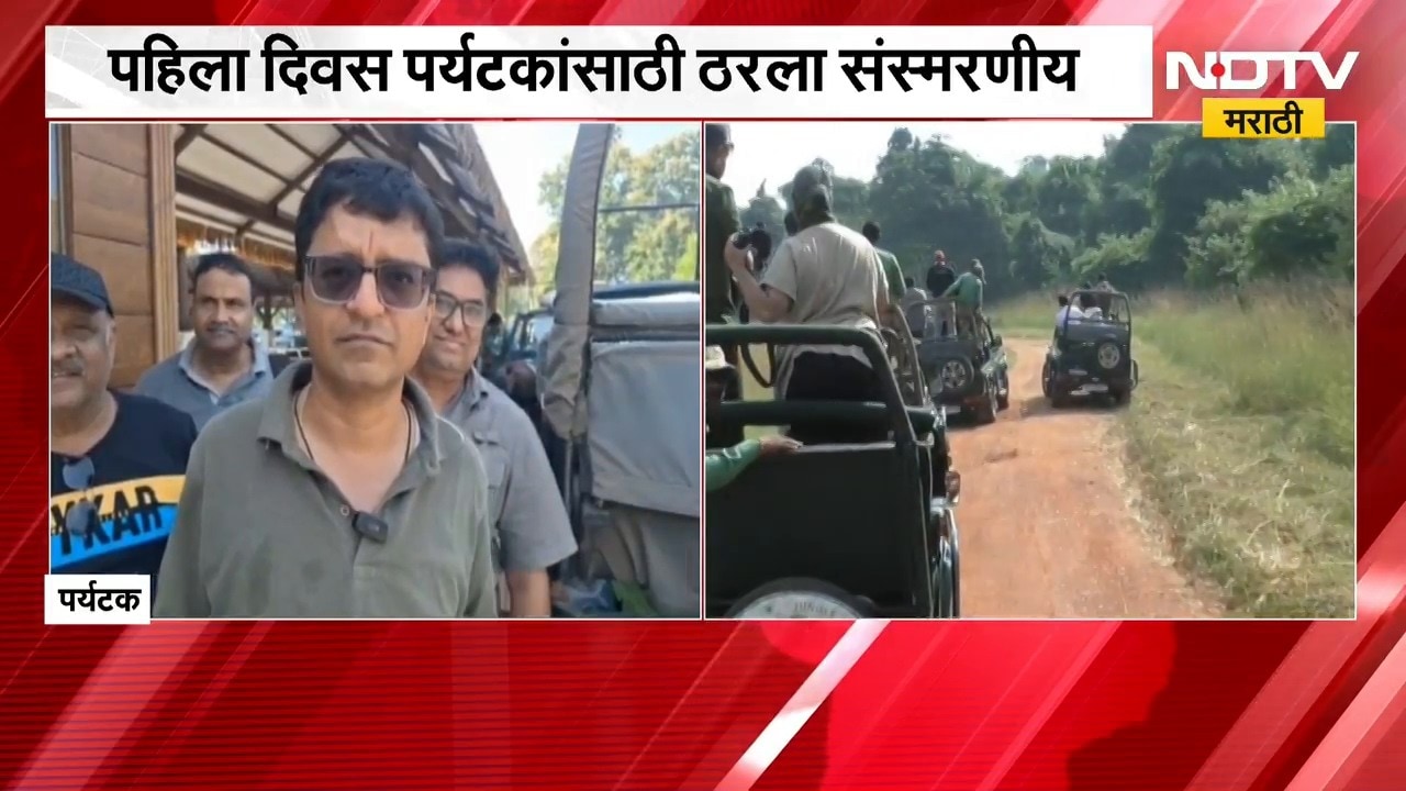 Tadoba प्रकल्पात नवा पर्यटन हंगाम सुरु, पहिल्याच दिवशी पर्यटक आनंदित