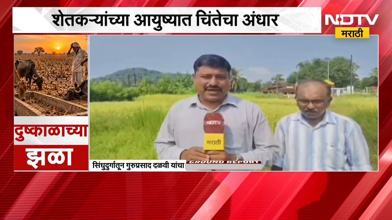 Sindhudurg Drought | नदी-नाले सुकले, पीक करपले; दिवाळीच्या तोंडावर कोकणातील शेतकरी संकटात