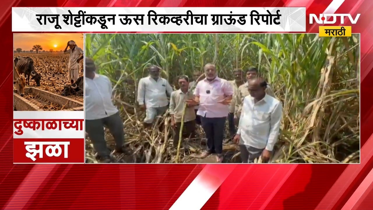 ऊसाला दर मिळत नसल्याने मोठं नुकसान, Raju Shetti यांच्याकडून ऊस रिकव्हरीचा Ground Report | NDTV मराठी