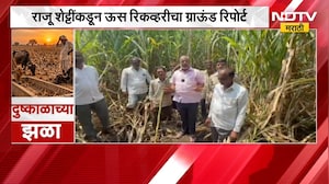 ऊसाला दर मिळत नसल्याने मोठं नुकसान, Raju Shetti यांच्याकडून ऊस रिकव्हरीचा Ground Report | NDTV मराठी