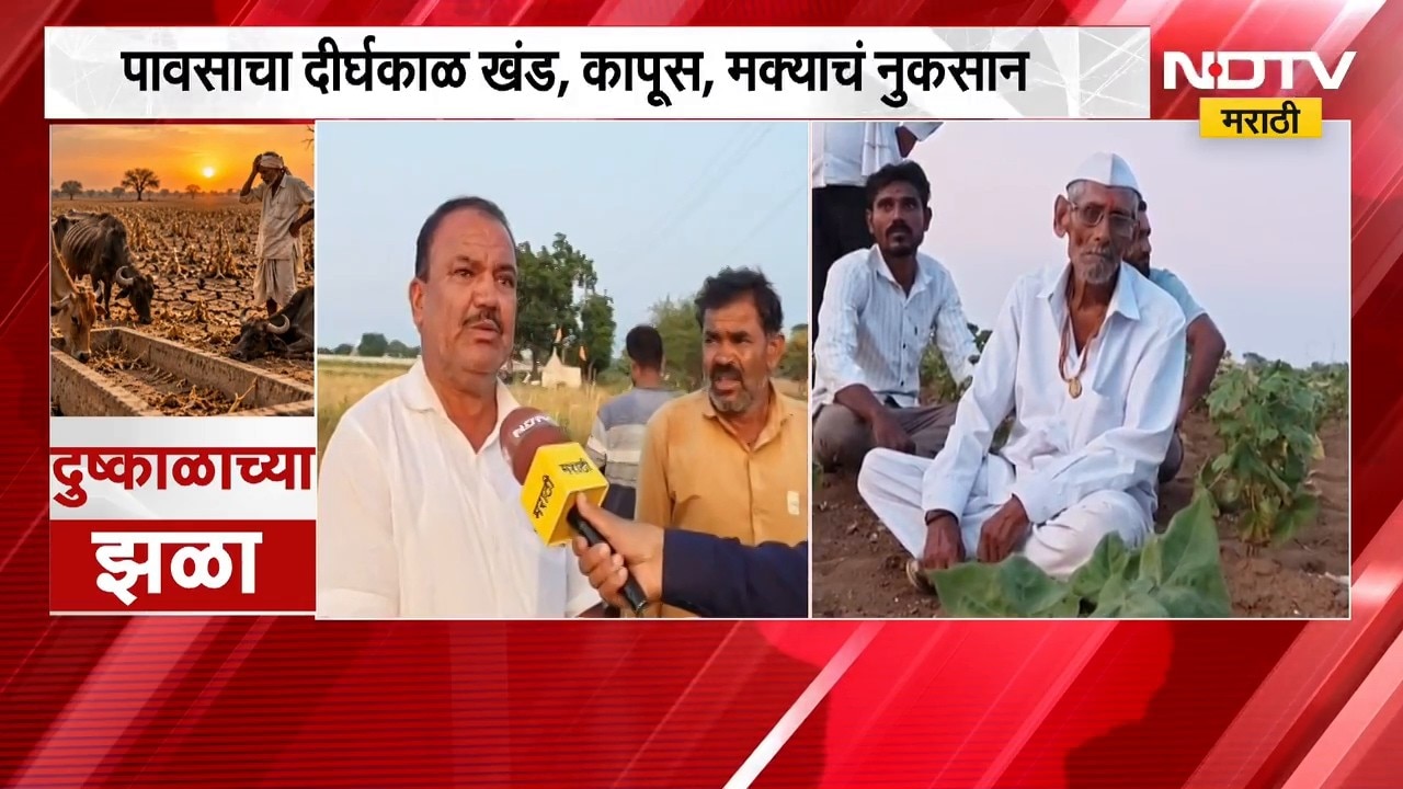 Jalgaon Drought| चाळीसगाव तालुक्यात 85 हजार हेक्टरवर दुष्काळ; 80 हजार शेतकरी दुष्काळाच्या संकटात