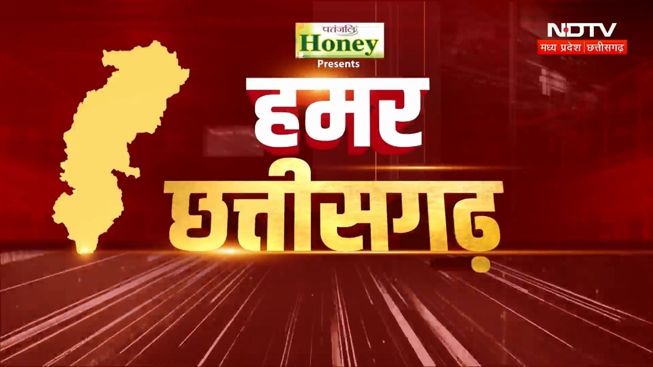 Chhattisgarh News | Mahanadi Water Dispute Meeting | Flood Relief | Elephant Death | Bus Strike