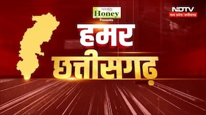 Chhattisgarh News | Mahanadi Water Dispute Meeting | Flood Relief | Elephant Death | Bus Strike