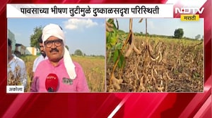 Akola Drought| खरीप हंगामावर दुष्काळाचे गंभीर सावट, 910 महसूल गावांची पैसेवारी 50 पैशांपेक्षा कमी