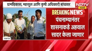 Jalgaon Drought उभ्या पपईच्या पिकावर ट्रॅक्टर फिरवण्याची वेळ ट्रॅक्टरने पाणी आणून पिकवलेलं पीक सुकलं
