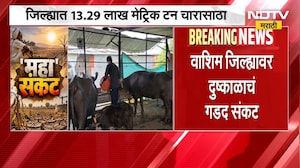 Washim drought report | वाशीम जिल्ह्यात चाराटंचाई निर्माण होऊ नये म्हणून उपायांना वेग