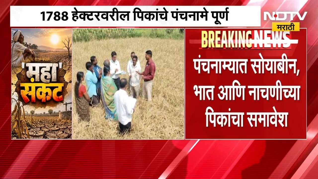 कोल्हापुरात दोन दिवसांपासून 260 गावात दुष्काळाचे पंचनामे ।  NDTV मराठी रिपोर्ट