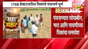 कोल्हापुरात दोन दिवसांपासून 260 गावात दुष्काळाचे पंचनामे ।  NDTV मराठी रिपोर्ट