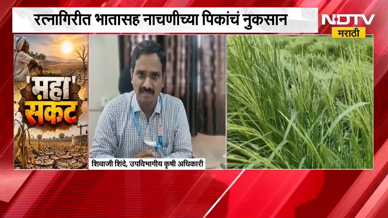 Ratnagiri Drought | रत्नागिरीमध्ये भातासह नाचणीच्या पिकाचं नुकसान, सर्व्हेक्षणाचे अपडेट्स