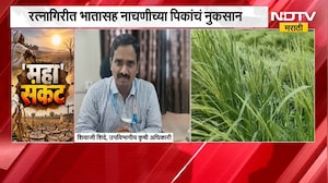 Ratnagiri Drought | रत्नागिरीमध्ये भातासह नाचणीच्या पिकाचं नुकसान, सर्व्हेक्षणाचे अपडेट्स