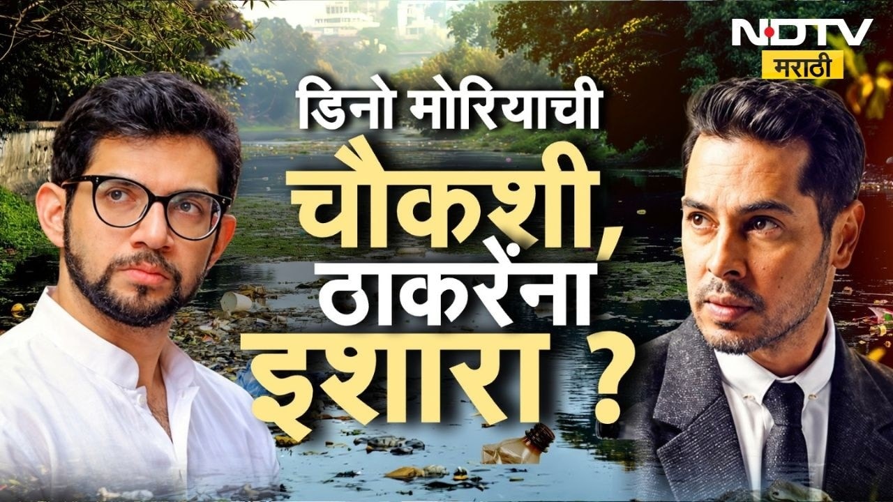 Special Report| Dino Morea ची चौकशी, ठाकरेंना इशारा ? मोरियाच्या अटकेचं टायमिंग नेमकं काय सांगतं ?