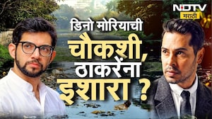 Special Report| Dino Morea ची चौकशी, ठाकरेंना इशारा ? मोरियाच्या अटकेचं टायमिंग नेमकं काय सांगतं ?