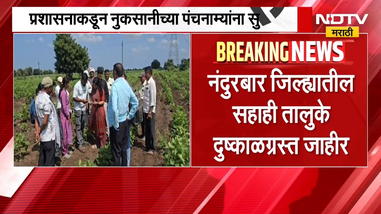 Nandurbar जिल्ह्यातील सहाही तालुके दुष्काळग्रस्त जाहीर,प्रशासनाकडून नुकसानीच्या पंचनाम्यांना सुरुवात