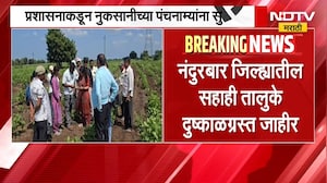Nandurbar जिल्ह्यातील सहाही तालुके दुष्काळग्रस्त जाहीर,प्रशासनाकडून नुकसानीच्या पंचनाम्यांना सुरुवात