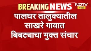 Leopard prowls silently in Palghar's Sakhare village; atmosphere of terror among villagers and in th