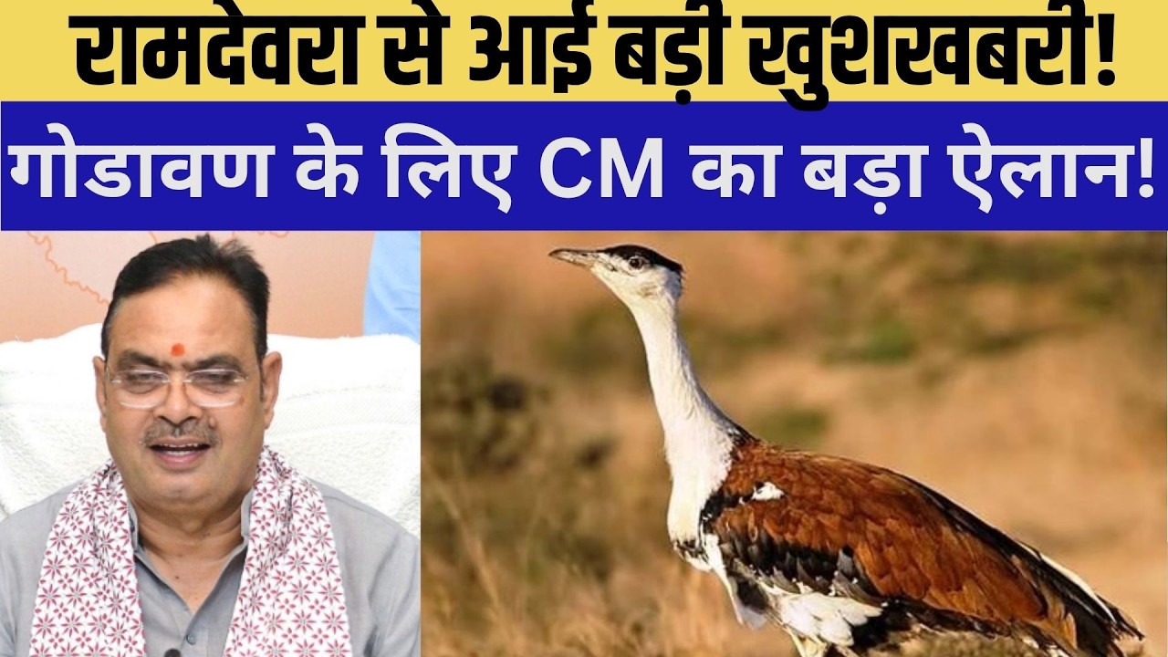Ramdevra से आई बड़ी खुशखबरी! Godavan के लिए CM का बड़ा ऐलान! |State bird| Jaisalmer |Rajasthan