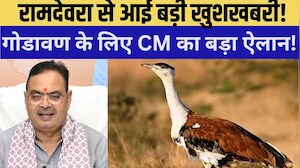 Ramdevra से आई बड़ी खुशखबरी! Godavan के लिए CM का बड़ा ऐलान! |State bird| Jaisalmer |Rajasthan
