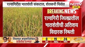 Ratnagiri Drought | कोकणातही दुष्काळाचे सावट, रत्नागिरीतील भातशेती संकटात | NDTV Marathi