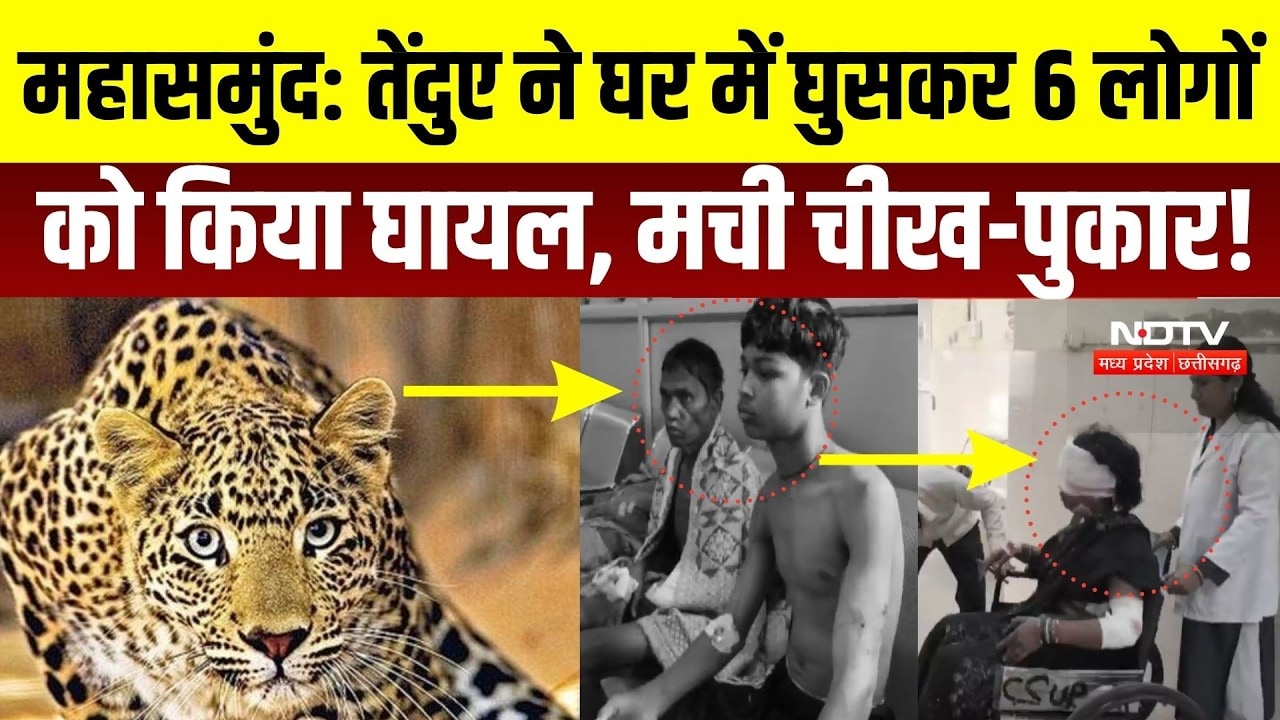 Mahasamund Leopard Attack: घर में घुसा तेंदुआ, 6 लोगों पर हमला | Leopard Terror in Chhattisgarh
