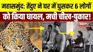 Mahasamund Leopard Attack: घर में घुसा तेंदुआ, 6 लोगों पर हमला | Leopard Terror in Chhattisgarh