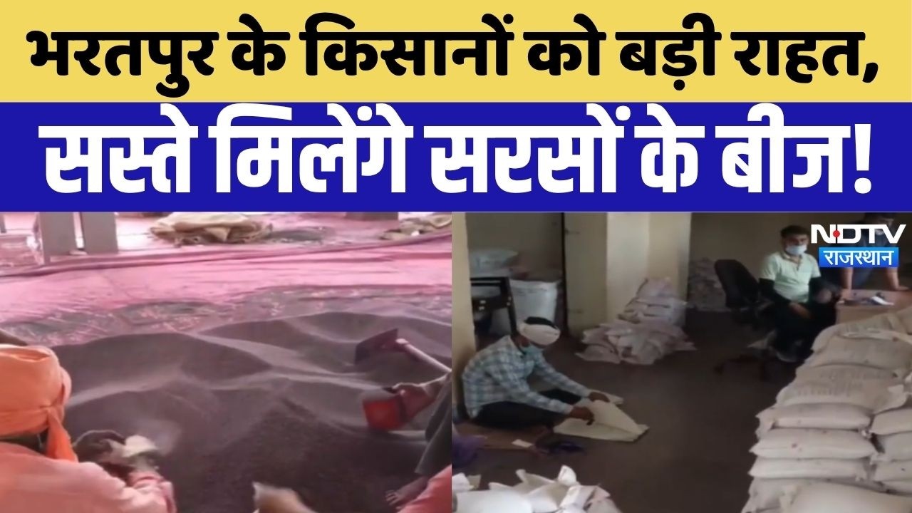 Seed Distribution: Bharatpur के किसानों को बड़ी राहत, सस्ते मिलेंगे सरसों के बीज! Mustard Farming