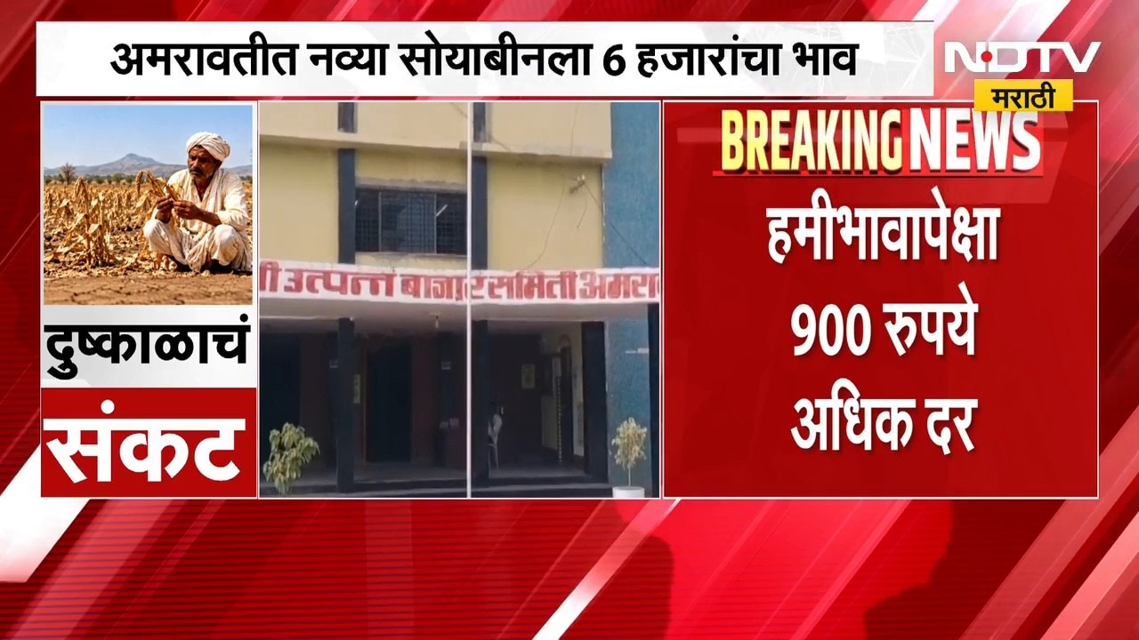 Amravati News| सोयाबीन बाजारात तेजी कायम, अमरावतीत नव्या सोयाबीनला 6 हजारांचा भाव | NDTV Marathi