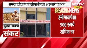 Amravati News| सोयाबीन बाजारात तेजी कायम, अमरावतीत नव्या सोयाबीनला 6 हजारांचा भाव | NDTV Marathi