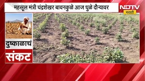 महसूल मंत्री Chandrashekhar Bawankule आज धुळे दौऱ्यावर, दुष्काळग्रस्त भागांची प्रत्यक्ष पाहणी करणार