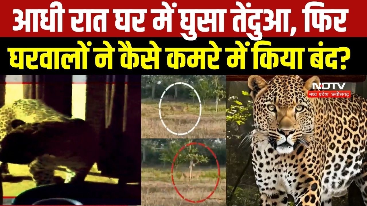 Leopard Attack Mahasamund: जब तेंदुए ने हमला कर लोगों को घायल किया, फिर उसे कमरे में कैसे बंद किया?