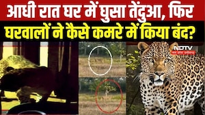 Leopard Attack Mahasamund: जब तेंदुए ने हमला कर लोगों को घायल किया, फिर उसे कमरे में कैसे बंद किया?