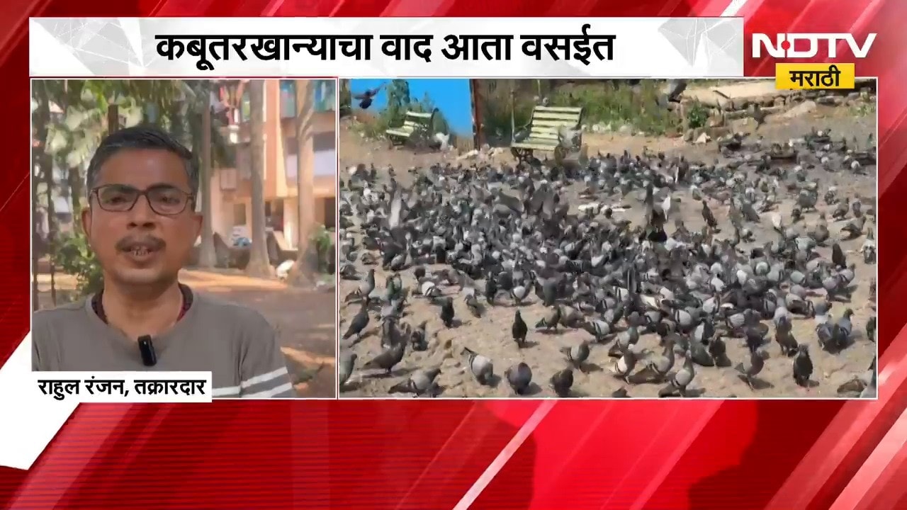 Vasai KabutarKhana | कबूतरखान्याचा वाद आता वसईत, स्थानिकांना त्रास; तक्रारदाराचा आरोप काय?