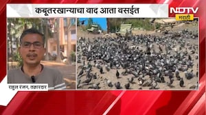 Vasai KabutarKhana | कबूतरखान्याचा वाद आता वसईत, स्थानिकांना त्रास; तक्रारदाराचा आरोप काय?