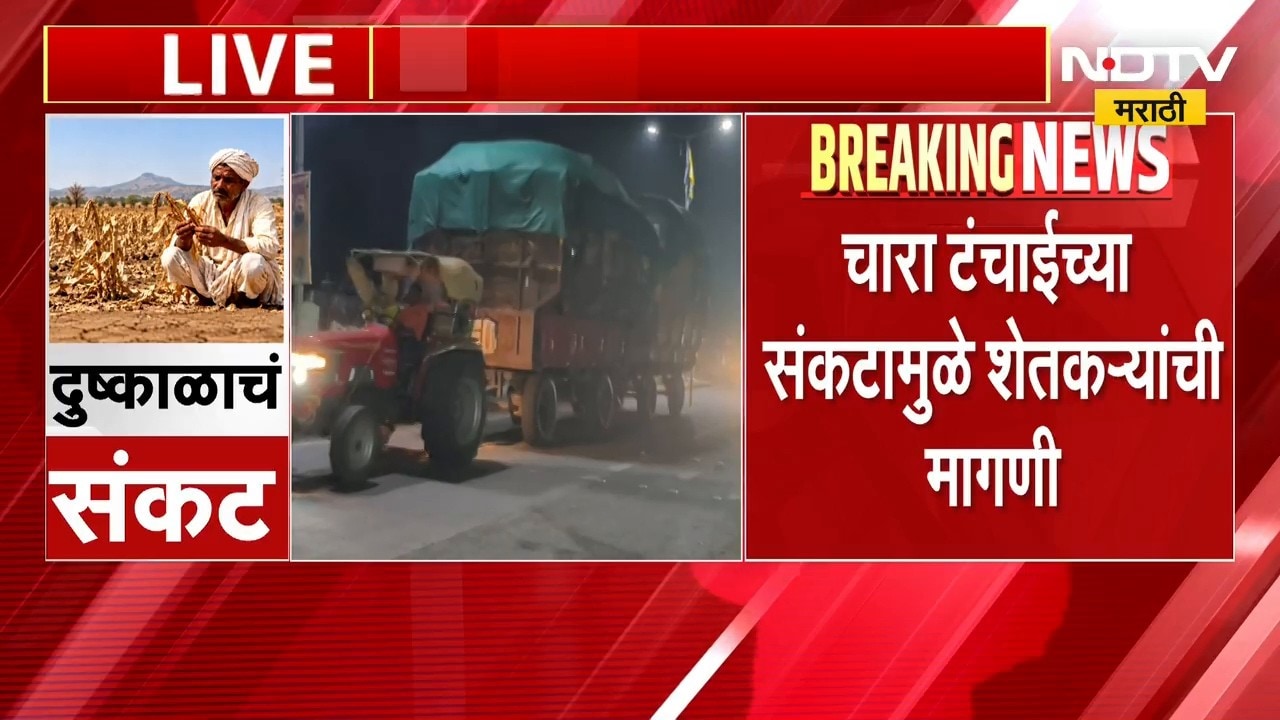 Washim मध्ये पावसाने मारली दडी, चाऱ्याचा संकट, जिल्ह्याबाहेर जाणारा चार थांबवा, शेतकऱ्यांची मागणी